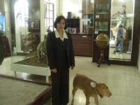 Museo Hector Vasquez Cristina Leon
